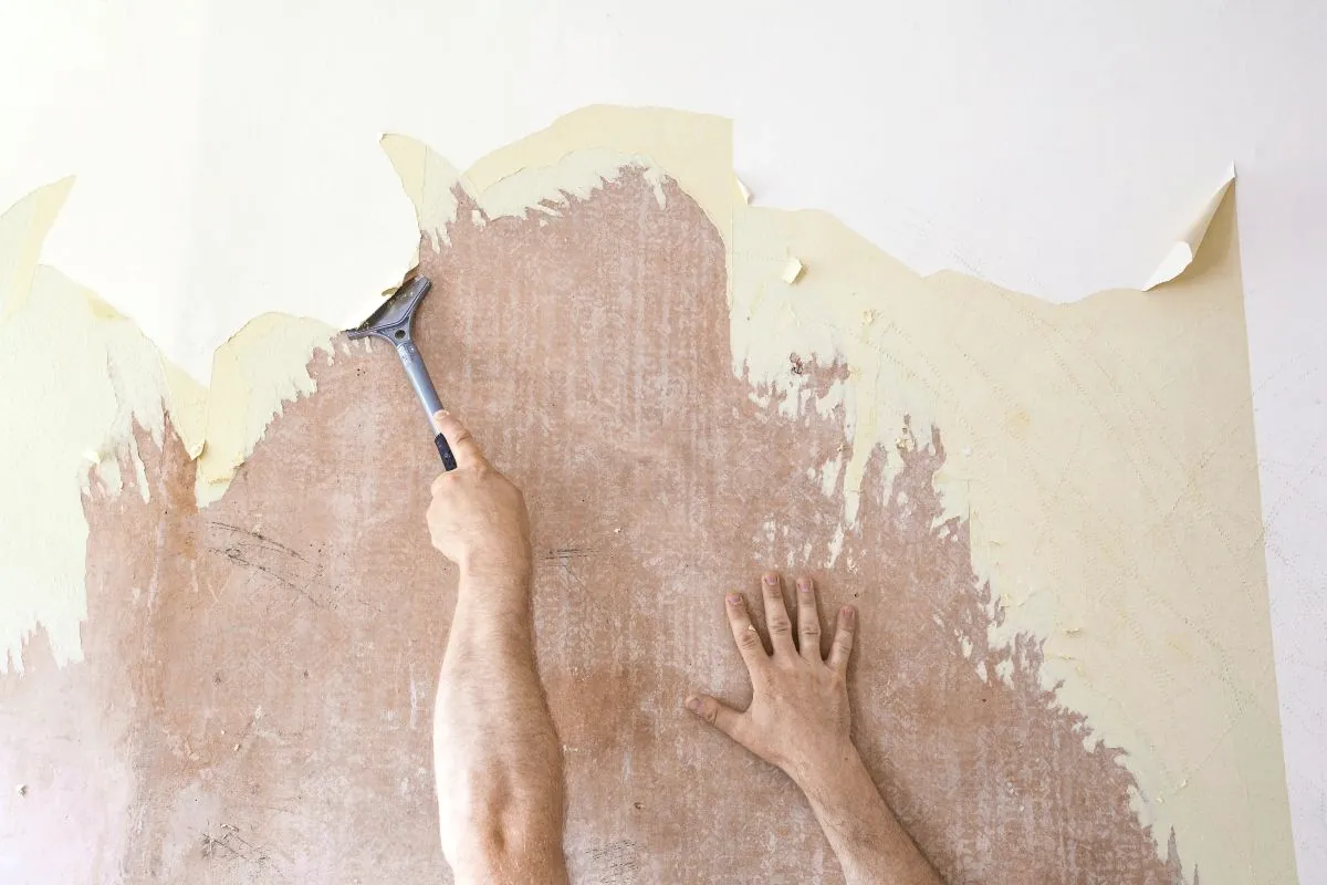 Quitar papel pintado en Pamplona y comarca